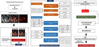 A Novel Validated Recurrence Stratification System Based on 18F-FDG PET/CT Radiomics to Guide Surveillance After Resection of Pancreatic Cancer